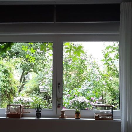 Ferienwohnung Hering In Dill Екстериор снимка
