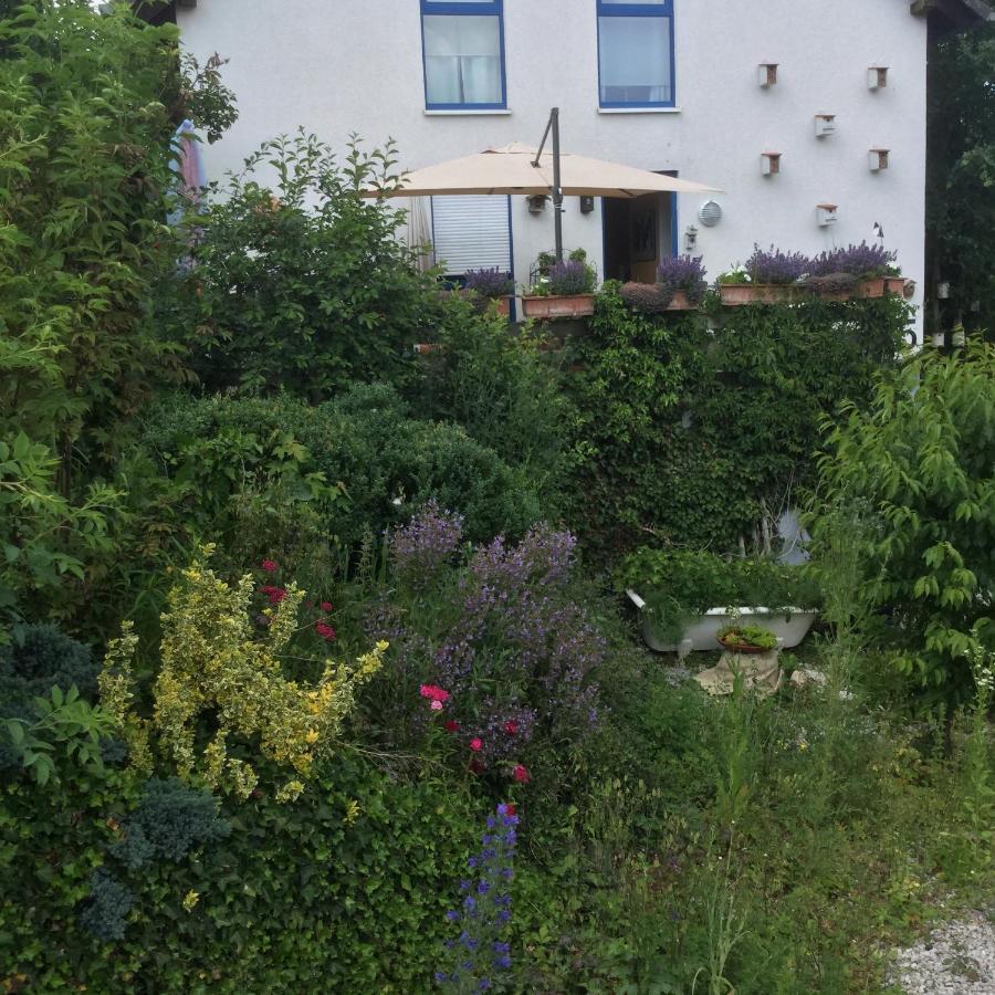 Ferienwohnung Hering In Dill Екстериор снимка