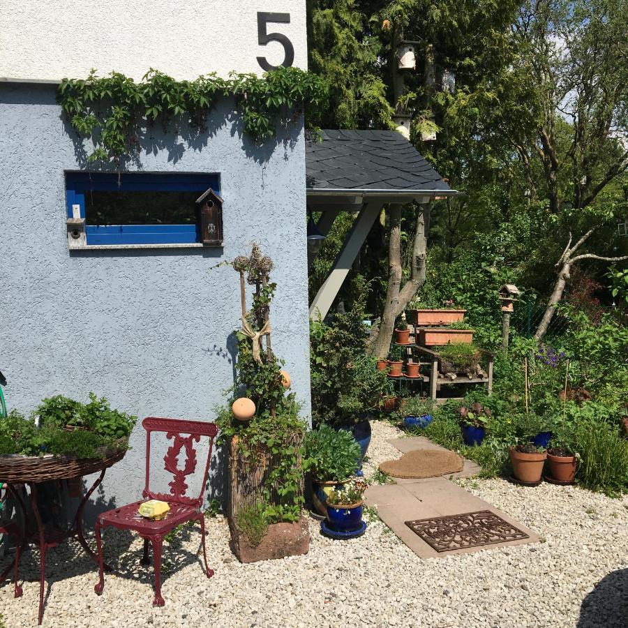 Ferienwohnung Hering In Dill Екстериор снимка