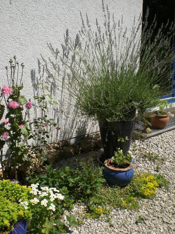 Ferienwohnung Hering In Dill Стая снимка