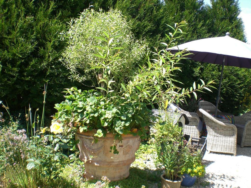 Ferienwohnung Hering In Dill Стая снимка
